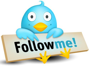 Get More Twitter Followers